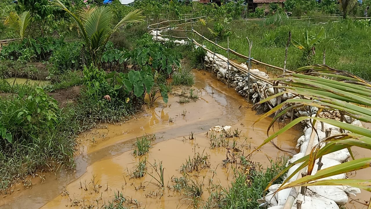 Luapan limbah tambang mengandung Cyanida dan Mercury yang mengalir ke sungai air minum warga Desa Kusubibi. Foto:sif//segemen.co.id