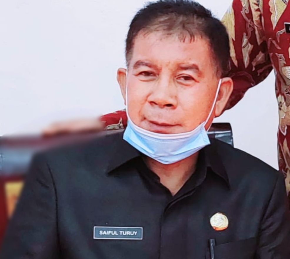 Ir. Saiful Turuy. (Foto: Istimewa)