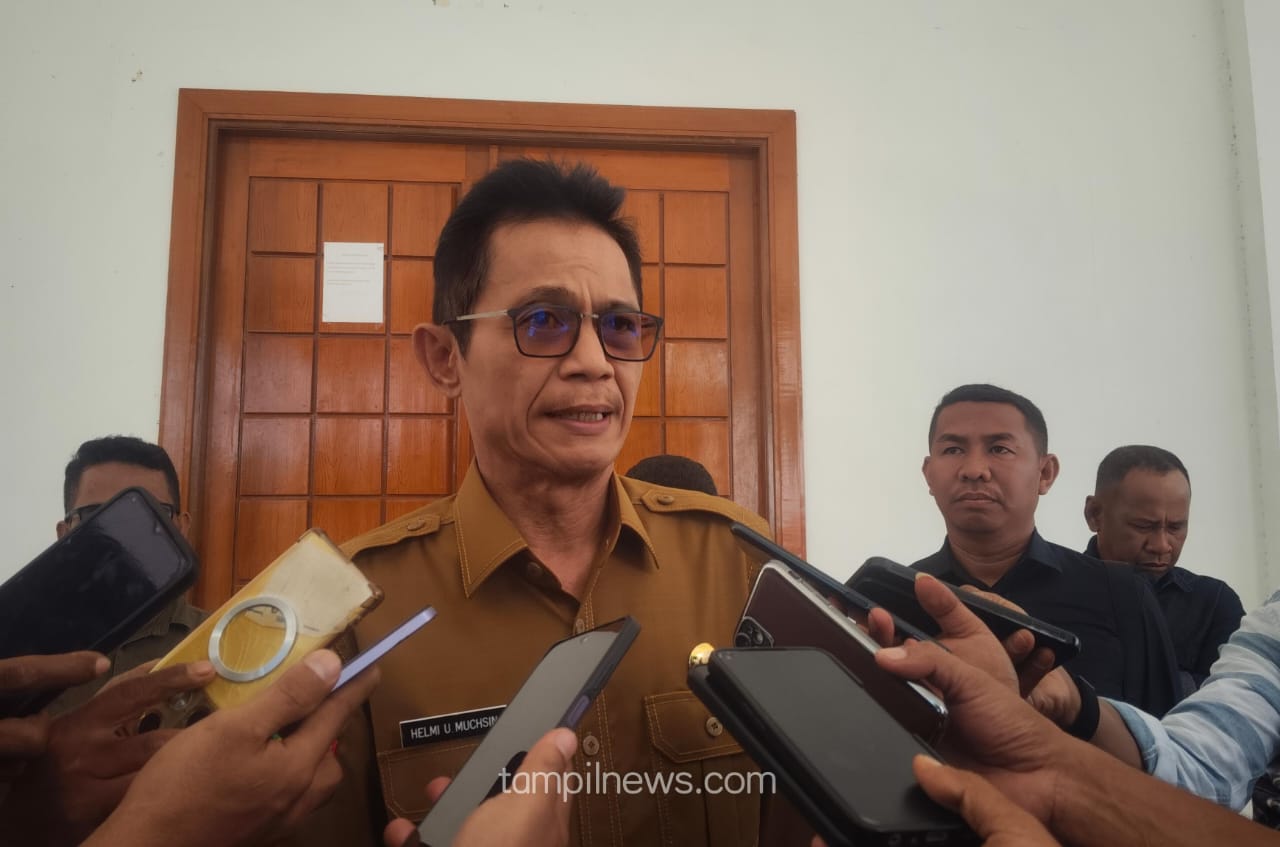 Helmi Umar Muchsin Wakil Bupati Halsel (dok//sadam)
