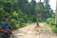 Kondisi Ruas Jalan Lalubi-Samo (dok//Sadam) 