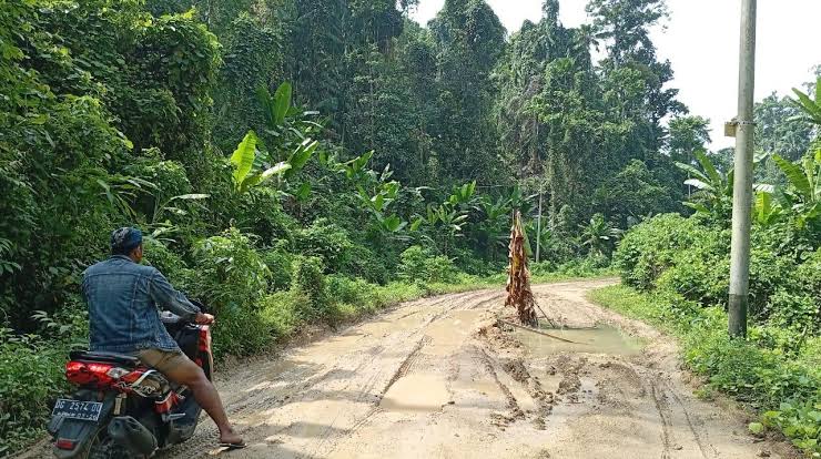 Kondisi Ruas Jalan Lalubi-Samo (dok//Sadam)
