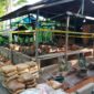 Polres Halsel pasang garis polisi di Tambang Emas Ilegal Desa Kubung. foto Sadam|segmen