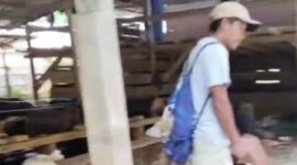 Kondisi Tambang Emas Ilegal Desa Manatahan terus beroperasi dibalik pemasangan Garis Polisi dari Polres Halsel dan Polda Malut. Foto Sadam|Segmen