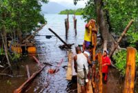 Dugaan salah satu aktifitas ilegal di Kusu Island Resord di Kabupaten Halmahera Selatan, Provinsi Maluku Utara. foto Asbar Ikram|Salawaku