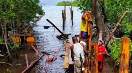 Dugaan salah satu aktifitas ilegal di Kusu Island Resord di Kabupaten Halmahera Selatan, Provinsi Maluku Utara. foto Asbar Ikram|Salawaku
