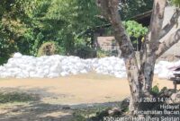 Barang bukti ribuan karung berisi tanah Topsoil ilegal yang dikomersilkan. foto Sadam Hadi|Segmen