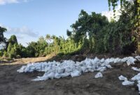 Barang bukti tanah Topsoil dikomersilkan tanpa izin. foto Sadam Hadi|Segmen