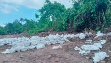 3.000 karung tanah Topsoil di Desa Hidayat dikomersilkan ke Kawasi secara ilegal. Foto Sadam Hadi|Segmen