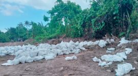 3.000 karung tanah Topsoil di Desa Hidayat dikomersilkan ke Kawasi secara ilegal. Foto Sadam Hadi|Segmen