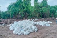 Kurang lebih 300 karung tanah Topsoil tidak dimuat ke Barebo. Foto Sadam Hadi|Segmen