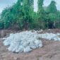 Kurang lebih 300 karung tanah Topsoil tidak dimuat ke Barebo. Foto Sadam Hadi|Segmen