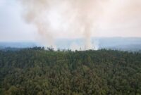 Karhutla di Kawasi kembali terjadi mulai 14 Oktober 2026 (Dok: Istimewa)